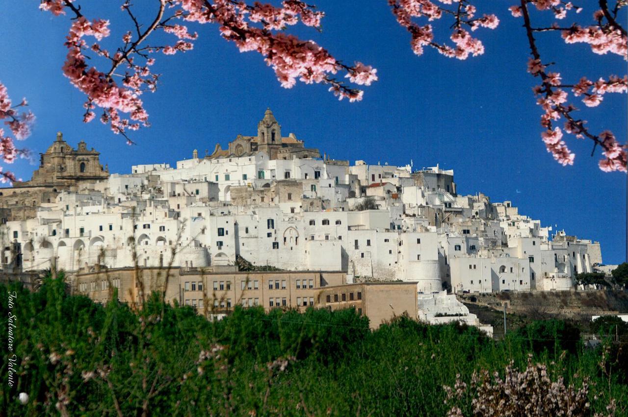 Casa Carlotta Villa Ostuni Ngoại thất bức ảnh